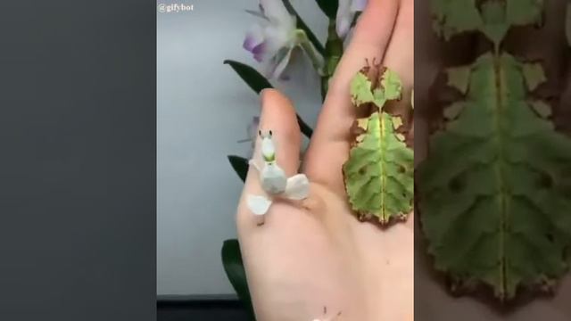 ۸ اکتبر ۲۰۱۹ смотреть онлайн