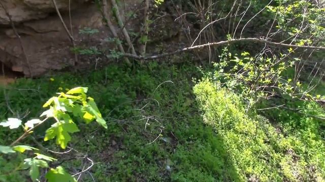 02_05_2021_с.ВЫСОЦКОЕ_ВЕЛОПРОГУЛКА ПО ОКРЕСТНОСТЯМ.mp4 смотреть онлайн