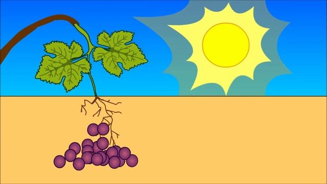 Учимся читать склад ЗЮ в словах изюм, изюбрь. Мультик с логопедической распевкой смотреть онлайн