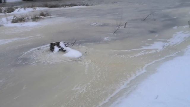 Очистка реки Цна 4 смотреть онлайн