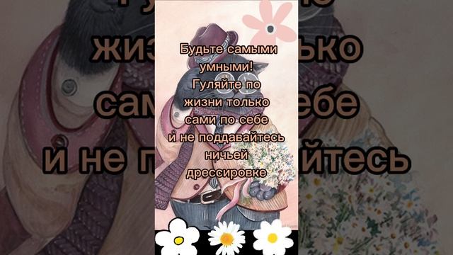 Мудрость от Котофея смотреть онлайн