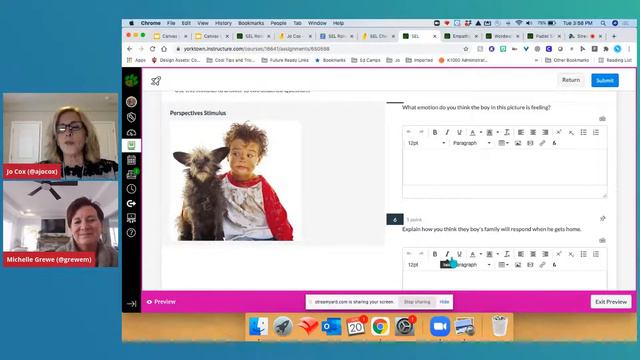 SEL Strategies During Digital Learning смотреть онлайн