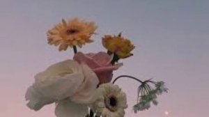 Zivert-Credo Каждому по факту Speed up