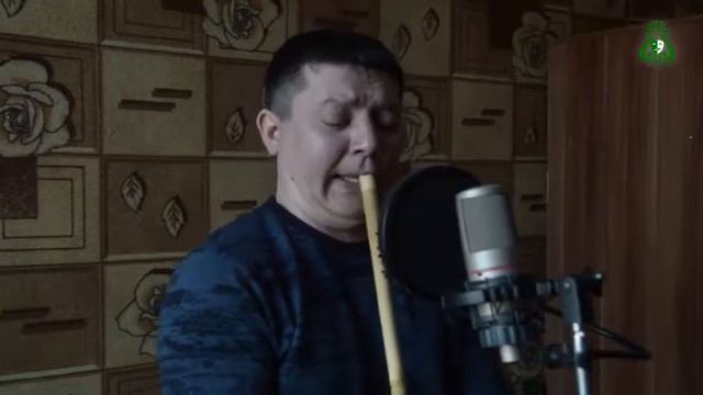 Стихотворение читает Айнур Аминев. смотреть онлайн