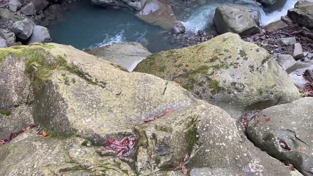 Waterfall Горный водопад смотреть онлайн