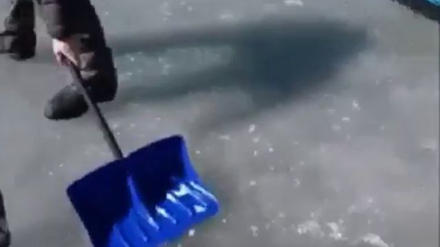 керлинг смотреть онлайн