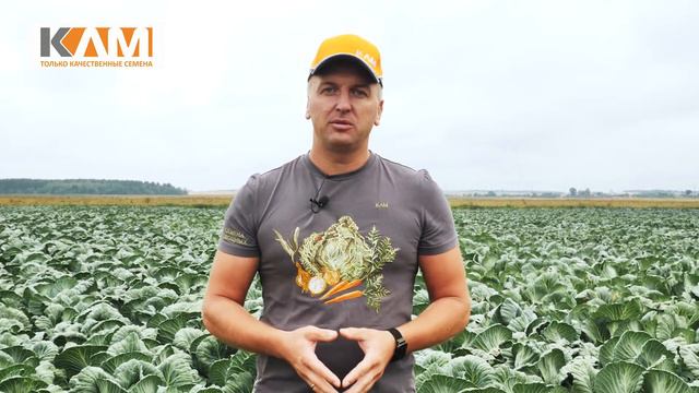 Слова благодарности от компании 