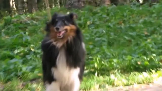 Холли Бэрри из Графского Поместья смотреть онлайн