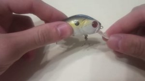 Обзор воблера кренка - убийцы щук pontoon 21 taba tao 50 f sr по заказу Fmagazin.