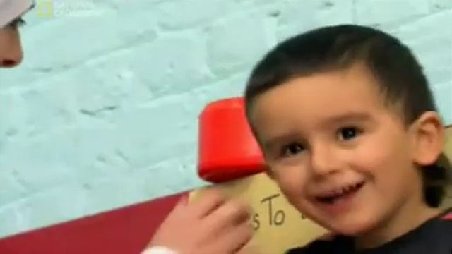 Amazing Apes Self awareness 1 2 смотреть онлайн