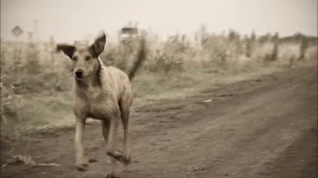 Argentino Luna - El malevo смотреть онлайн