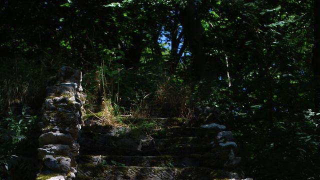 Francesco Durante - Concerto For Strings No.5 In A Major, II. Largo