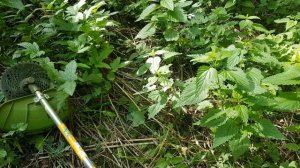 Отзыв о 4-тактной бензокосе Procraft T5600