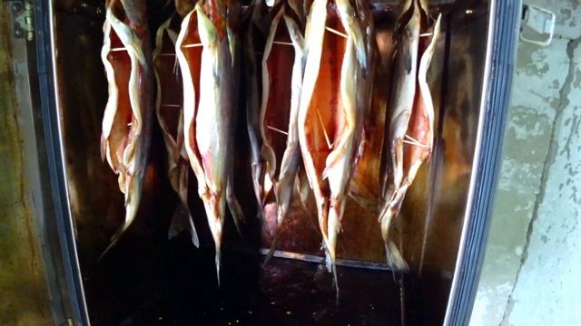 Копчение Скумбрии и Горбуши # Урок выживания в кризис смотреть онлайн