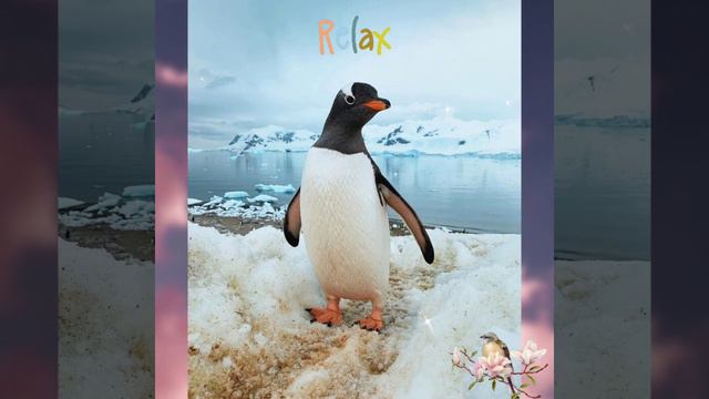 Удивительная природа и животные смотреть онлайн