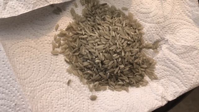 Repuesto bomba de frenos. ¿Como se cambia ? Chevrolet смотреть онлайн