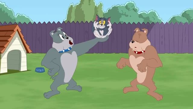 Шоу Тома и Джерри | Старший брат Спайка | Boomerang смотреть онлайн