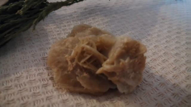 Гришина Кристина - Роза пустыни смотреть онлайн