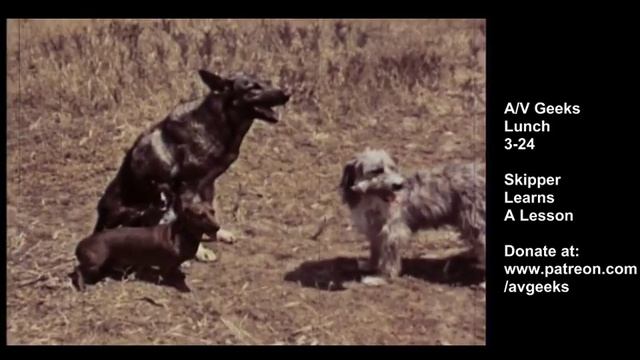 AV Geeks Lunch 3-24-20 смотреть онлайн