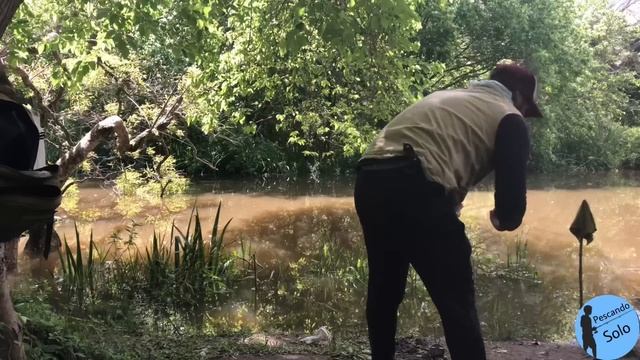 PESCA EN ARROYO MINADO DE PECES | SERPIENTE Y TERRIBLE CRECIDA DEL ARROYO смотреть онлайн