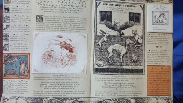 Wizardology | book of magic смотреть онлайн