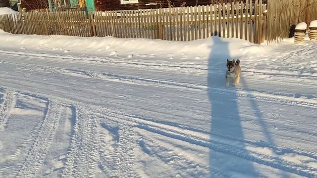 Весточка от Валдая