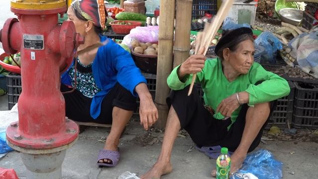 Harvest longan and peach orchards to go to the market to sell _ farmer life | Chuc Thi Duong смотреть онлайн