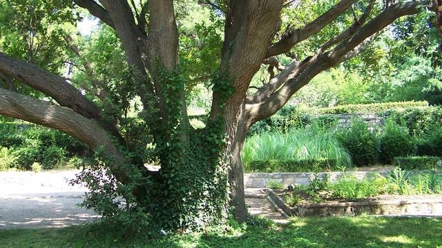 Откуда пошел праздник Троица. смотреть онлайн