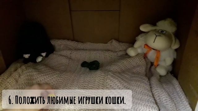 Обустраиваем место для беременной кошки.Место для отдыха и рождения котят. смотреть онлайн