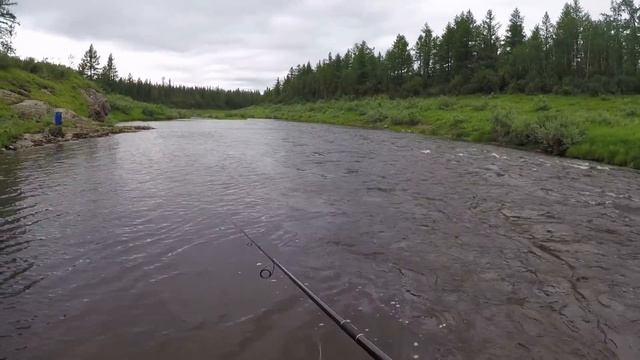 30 щук с 33-ех забросов. Рыболовная экспедиция на Таймыр смотреть онлайн