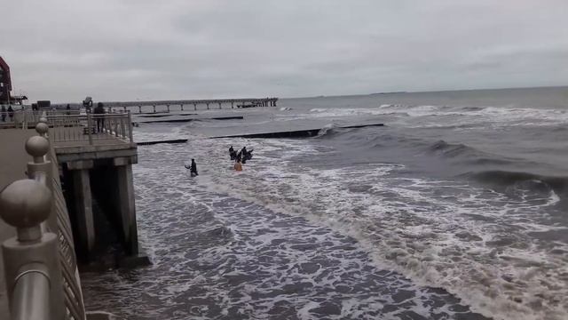 Балтийское море. В поисках янтаря смотреть онлайн