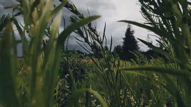 VID 20230628 181241 Солдатская (Франц Деванделер)...Павел Васильев Лахтинский смотреть онлайн