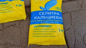 ВМЕСТО ПАЛОК ШИКАРНЫЕ КУСТЫ! ПЕРВАЯ подкормка РОЗ ПОСЛЕ ЗИМЫ! ОШИБКА из-за которой ПЛОХО РАСТУТ РОЗ