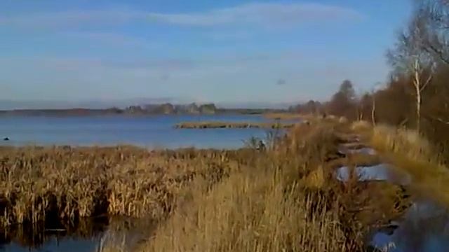 здесь водится хороший ротан смотреть онлайн