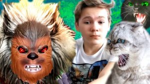 На моих КОШЕК НАПАЛ ЗВЕРЬ!  Кошки УБИЛИ ЗВЕРЯ.