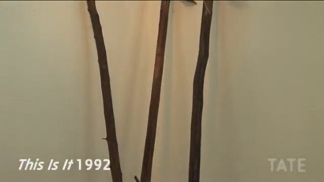 Adam Chodzko At Tate St Ives | TateShots