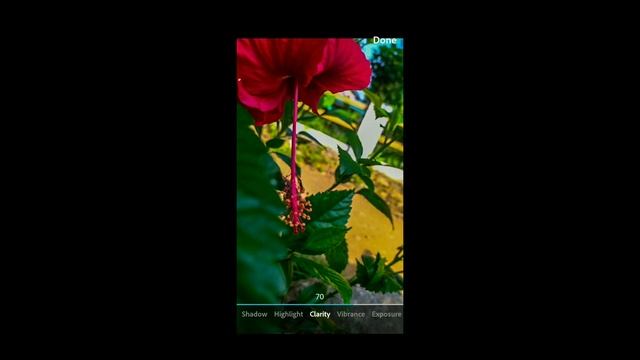 PhotoShop Camera|ഒരു രക്ഷയും ഇല്ലാത്ത മൊബൈൽ കാമറ അപ്പ്ളിക്കേഷൻ|2020 смотреть онлайн