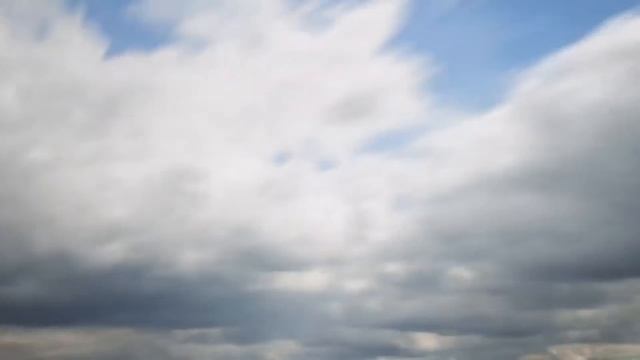 ¿Un COBRA JET eléctrico? | Que p3d0 con el MUSTANG COBRA JET 1400 смотреть онлайн