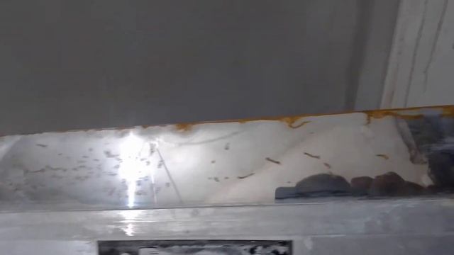 шпатель intertool смотреть онлайн