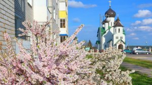 Фото «Березино 2021» Лучшие ФОТО с Видами города!
