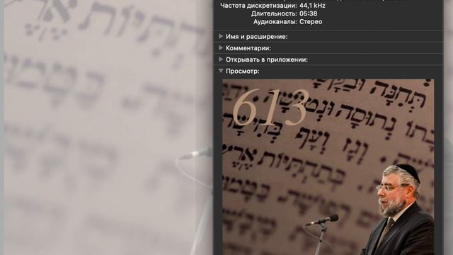 "613 заповедей или 613 проблем?" рав Пинхас Гольдшмидт смотреть онлайн