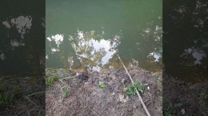 Рыбалка на паук