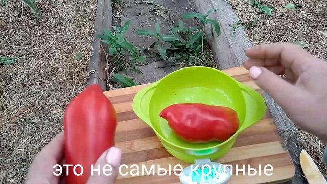 Сорт томата-Аббатиста(Abbattista paste) смотреть онлайн