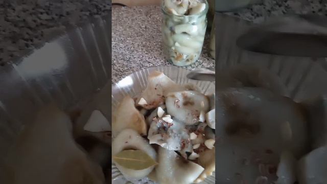 Лесные грузди домашней засолки.