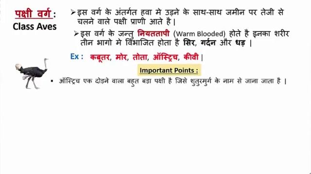 Biology Gk : Animal Kingdom (जन्तु जगत ) For SSC CGL , CHSL , MPPSC, UPPSC , RAILWAYS EXAMS смотреть онлайн