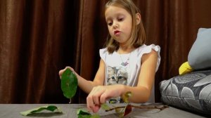 БЕЗ ШКОЛЫ! Ожидание и Реальность! Амелька не хочет учиться! Что будет, если не ходить в школу!