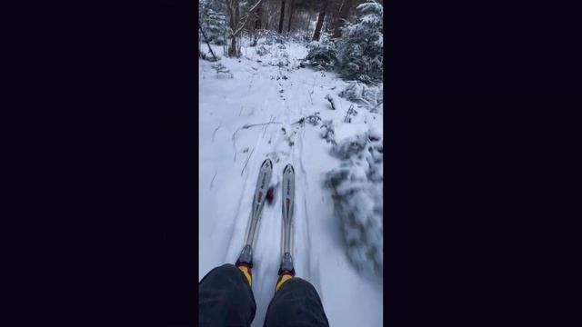 Skiing through the forest 2023 , катання на лижах через ліс смотреть онлайн