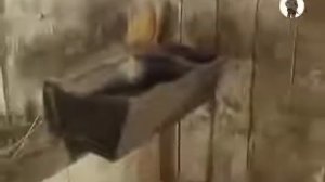 Тонька пулемётчица