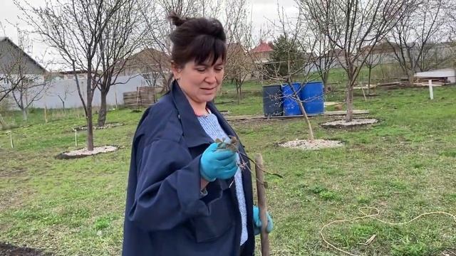Мотоблок Зубр в женских ручках. Много мусора на террасе. Серия № 367. смотреть онлайн