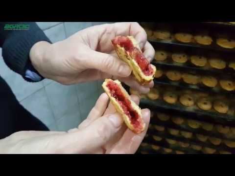 Как выпекать печенье с начинкой на Revent 725 смотреть онлайн